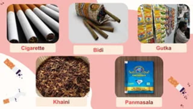 GST માં હવે કરચોરી સામે ટ્રેક - ટ્રેસ સિસ્ટમ : સિગારેટ - પાનમસાલાથી પ્રારંભ