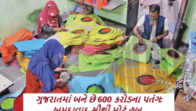 અમદાવાદના અનેક વિસ્તારો પતંગ ઉદ્યોગના હબ જેવા છે , ભારતમાંથી વર્ષે દોઢ લાખ કારીગરો પતંગ બનાવવા માટે અમદાવાદ અને સુરત આવે છે