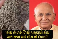 ભાજપના પૂર્વ ધારાસભ્ય નારણભાઇ પટેલે આક્ષેપ કર્યાં છેકે, ગુજરાતમાં ભેળસેળિયા કારોબારી ગાંધીનગર સુધી હપ્તા પહોંચાડે છે,