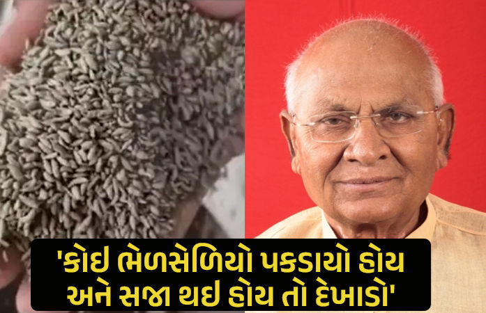 ભાજપના પૂર્વ ધારાસભ્ય નારણભાઇ પટેલે આક્ષેપ કર્યાં છેકે, ગુજરાતમાં ભેળસેળિયા કારોબારી ગાંધીનગર સુધી હપ્તા પહોંચાડે છે,
