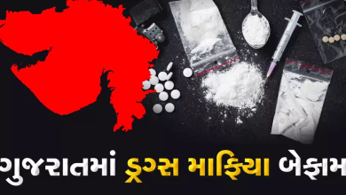 ગુજરાત ડ્રગ્સ લેન્ડિંગ હબ બન્યું ; ગુજરાતના દરિયાકિનારે અને બંદરો પરથી અંદાજે 70,000 કરોડ રૂપિયાનું ડ્રગ્સ પકડાયું છે