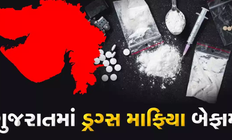 ગુજરાત ડ્રગ્સ લેન્ડિંગ હબ બન્યું ; ગુજરાતના દરિયાકિનારે અને બંદરો પરથી અંદાજે 70,000 કરોડ રૂપિયાનું ડ્રગ્સ પકડાયું છે