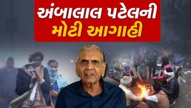 રાજ્યમાં પડશે કડકડતી ઠંડી, અંબાલાલ પટેલે કરી આગાહી, કોલ્ડવેવનું એલર્ટ ,