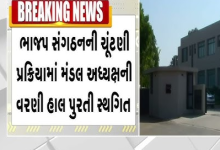 ભાજપનાં મંડળોનાં પ્રમુખની વરણીની પ્રક્રિયા સ્થગિત રાખવામાં આવી સિનિયર કાર્યકરો નારાજ ,