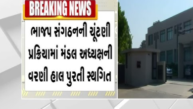 ભાજપનાં મંડળોનાં પ્રમુખની વરણીની પ્રક્રિયા સ્થગિત રાખવામાં આવી સિનિયર કાર્યકરો નારાજ ,