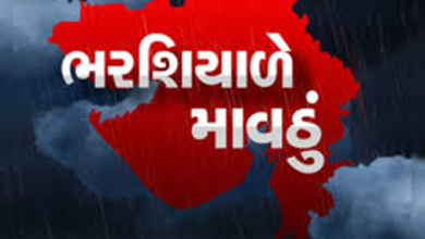 ઉત્તર ગુજરાતના જિલ્લાઓમાં આજે માવઠું પડ્યું હતું. અરવલ્લી, સાબરકાંઠા, બનાસકાંઠા જિલ્લામાં માવઠું પડ્યું હતું.