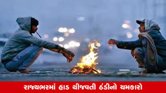 રાજ્યભરમાં હવે શિયાળની ઠંડી બરાબર જામી છે, ત્યારે આજના તાપમાનની વાત કરીએ તો ; 5.6 ડિગ્રી તાપમાન સાથે નલિયા બન્યું ઠંડુગાર, 12 શહેરોમાં પારો ગગડીને 15 ડિગ્રી નીચે પહોંચ્યું