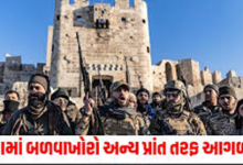 સીરિયામાં બળવાખોરો દ્વારા વધતા હુમલા અને નાગરિકોના મૃત્યુને ધ્યાનમાં રાખીને ભારત સરકારે એક એડવાઇઝરી જાહેર કરી જેમાં ભારતીય નાગરિકોને આગામી સૂચના સુધી સીરિયાની મુસાફરી ટાળવાની સલાહ આપવામાં આવી છે ,