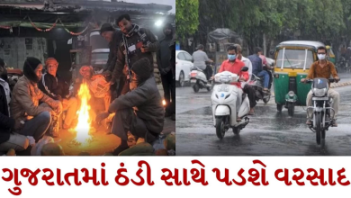 રાજ્યમાં ભર શિયાળે કમોસમી વરસાદની હવામાન વિભાગે આગાહી કરી છે. ખાસ કરીને 27 અને 28 ડિસેમ્બરે રાજ્યમાં મોટાભાગના વિસ્તારોમાં માવઠાની આગાહી કરવામાં આવી છે.