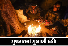 અમરેલી શહેર સહિત સમગ્ર જિલ્લામાં છેલ્લા એક અઠવાડિયાથી કોલ્ડવેવની અસર ,