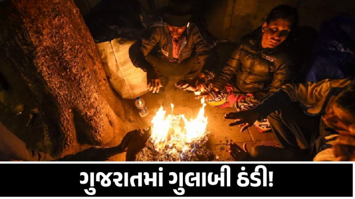 અમરેલી શહેર સહિત સમગ્ર જિલ્લામાં છેલ્લા એક અઠવાડિયાથી કોલ્ડવેવની અસર ,