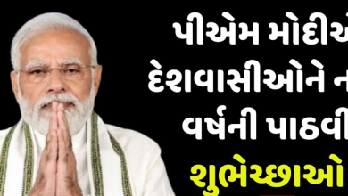 PM મોદીએ દેશવાસીઓને પાઠવી નવા વર્ષની શુભેચ્છા ; કાશ્મીરથી કન્યાકુમારી સુધી નવા વર્ષનું સ્વાગત ,