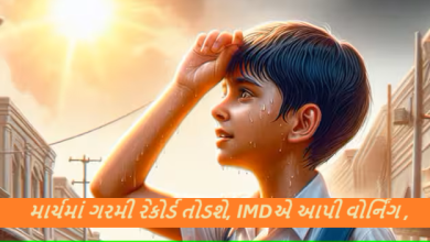 માર્ચમાં ગરમી રેકોર્ડ તોડશે, IMDએ આપી વોર્નિંગ, તાપમાનનો પારો જશે 40 ડિગ્રીને પાર