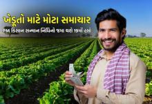 ખેડૂતોના ખાતામાં પ્રધાનમંત્રી કિસાન સન્માન નિધિ યોજનાનો 19મો હપ્તો રીલિઝ કરશે