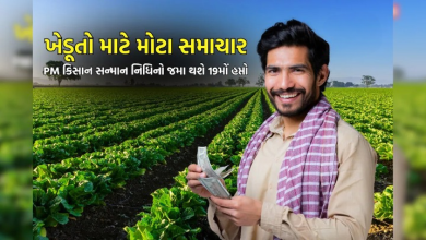 ખેડૂતોના ખાતામાં પ્રધાનમંત્રી કિસાન સન્માન નિધિ યોજનાનો 19મો હપ્તો રીલિઝ કરશે