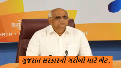 મુખ્યમંત્રી ભૂપેન્દ્ર પટેલની જાહેરાત: અંત્યોદય પરિવારો માટે નવી આજીવિકા યોજના. 5 વર્ષમાં 10 જિલ્લાના 25 તાલુકાને લાભ: 50 હજાર પરિવારોને મળશે આર્થિક સહાય