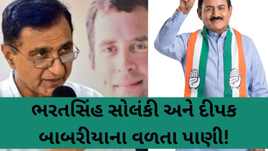 ગુજરાત કોંગ્રેસે સંગઠનમાં ફેરફાર ; ભરતસિંહ - દિપક બાબરીયાને હટાવાયા : ગુજરાતમાં વાશ્નિક યથાવત ,