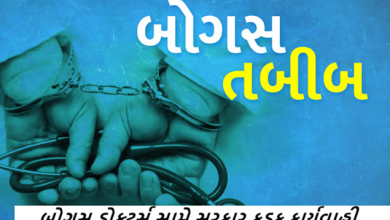 રાજ્યમાં બોગસ ડોક્ટર્સ સામે સરકાર કડક કાર્યવાહી કરવાની તજવીજ હાથ ધરી રહી છે. રાજ્ય સરકાર આગામી વિધાનસભા સત્રમાં સુધારા બિલ રજૂ કરશે.