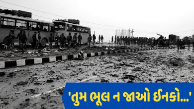 પુલવામાનો માસ્ટર માઈન્ડ, 40 જવાનોનો હત્યારો 'લફરા'વાળા ફોનથી પકડાયો ,