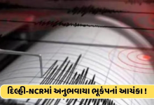 પાટનગર દિલ્હીમાં સવારે 4 ની તીવ્રતાનો ભૂકંપ અનુભવ્યો હતો ; ભૂકંપનું ભૂમિબિન્દુ દિલ્હીમાંજ જીલપાર્કમાં જમીનમાં ફકત પાંચ કિમી અંદર ,