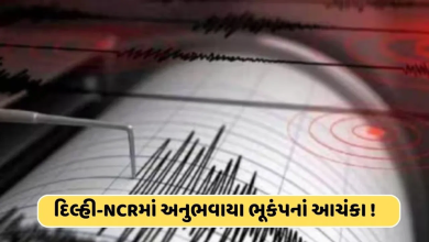 પાટનગર દિલ્હીમાં સવારે 4 ની તીવ્રતાનો ભૂકંપ અનુભવ્યો હતો ; ભૂકંપનું ભૂમિબિન્દુ દિલ્હીમાંજ જીલપાર્કમાં જમીનમાં ફકત પાંચ કિમી અંદર ,