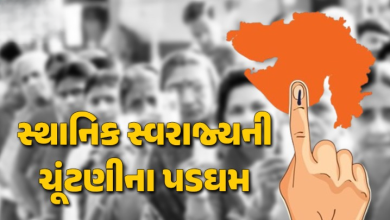 લોકોને ચૂંટણીમાં ભાગ્યે જ કોઈ રસ પડયો: પાયાની સંસ્થાઓની ચૂંટણીમાં સ્થાનિક સ્વરાજયને મજબૂત કરવાની તક સૌએ ગુમાવી: વધુ નબળી કરવામાં જોડાઈ ગયા