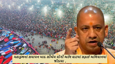 મહાકુંભનાં સમાપન બાદ સીએમ યોગી અરેલ ઘાટમાં સફાઈ અભિયાનમાં જોડાયા