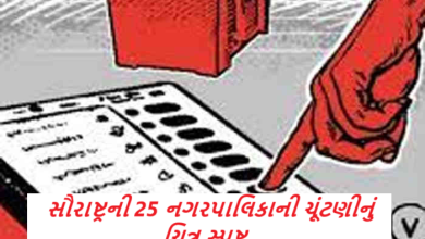 સૌરાષ્ટ્રની 25 નગરપાલિકાની ચૂંટણીનું ચિત્ર સ્પષ્ટ ; જુનાગઢમાં સૌથી મોટી તોડફોડ : અમરેલીથી કચ્છ, મોરબી જિલ્લા સુધી રાજકીય દાવપેચ ખેલાયા ,