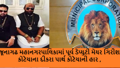 જૂનાગઢ મહાનગરપાલિકાના પરિણામમાં ઉલટફેર, પૂર્વ ડેપ્યુટી મેયર ગિરીશ કોટેચાના દીકરા પાર્થ કોટેચાની હાર ,