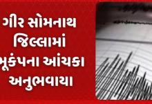 ગીર સોમનાથ જીલ્લામાં ભૂકંપનાં એક પછી એક ત્રણ આંચકા આવતા લોકોમાં ભયનો માહોલ ;