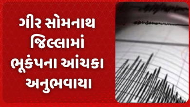 ગીર સોમનાથ જીલ્લામાં ભૂકંપનાં એક પછી એક ત્રણ આંચકા આવતા લોકોમાં ભયનો માહોલ ;