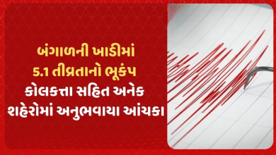 બંગાળની ખાડીમાં આવેલા આ ભૂકંપની તીવ્રતા રિક્ટર સ્કેલ પર 5.1 નોંધવામાં આવી હતી. નેશનલ સેન્ટર ફોર સિસ્મોલોજી (NCS) એ જણાવ્યું કે ભૂકંપ સવારે 6:10 વાગ્યે આવ્યો હતો.