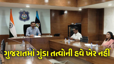 100 કલાકની અંદર રાજ્યના પ્રત્યેક પોલીસ સ્ટેશન વિસ્તારમાં રહેતા અસામાજીક ગુંડા તત્વોની યાદી તૈયાર કરવા કડક સુચના આપવામાં આવી છે.