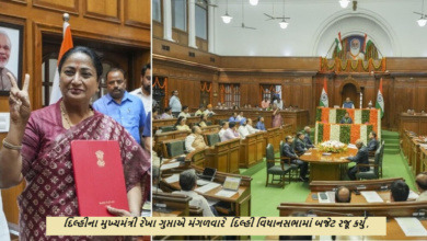 દિલ્હીના મુખ્યમંત્રી રેખા ગુપ્તાએ મંગળવારે દિલ્હી વિધાનસભામાં બજેટ રજૂ કર્યું