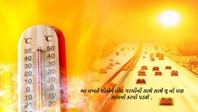 ગુજરાતના હવામાનને લઈ મોટી અપડેટ આગામી 2 દિવસોને લઇ અમુક રાજ્યમાં હીટવેવની આગાહી કરવામાં આવી છે ,