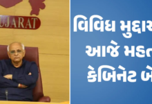 આજે ગાંધીનગરમાં કેબિનેટ બેઠકનું આયોજન કરવામાં આવ્યું છે ; આ બેઠકમાં આરોગ્ય કર્મચારીઓની હડતાળ, સિંચાઈ માટેના ખેડૂતોને પાણી આપવા બાબતે અને અન્ય કેટલાક મહત્ત્વના મુદ્દાઓ પર ચર્ચા કરવામાં આવશે.