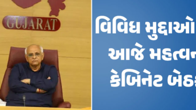 આજે ગાંધીનગરમાં કેબિનેટ બેઠકનું આયોજન કરવામાં આવ્યું છે ; આ બેઠકમાં આરોગ્ય કર્મચારીઓની હડતાળ, સિંચાઈ માટેના ખેડૂતોને પાણી આપવા બાબતે અને અન્ય કેટલાક મહત્ત્વના મુદ્દાઓ પર ચર્ચા કરવામાં આવશે.