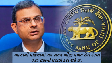 આગામી મહિનામાં RBI સતત બીજી વખત રેપો રેટમાં 0.25 ટકાનો ઘટાડો કરી શકે છે , હોમ લોન પર ઘટશે વ્યાજ દર?