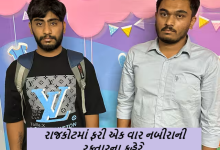 રાજકોટમાં ફરી એક વાર નબીરાની રફ્તારના કહેરે એકનો જીવઅને વૃદ્ધ સહિત ત્રણને હડફેટે લીધા હતા ,