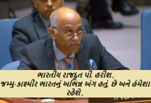 જમ્મુ-કાશ્મીર ભારતનું અભિન્ન અંગ હતું, છે અને હંમેશા રહેશે : ભારતીય રાજદુત પી. હરીશ
