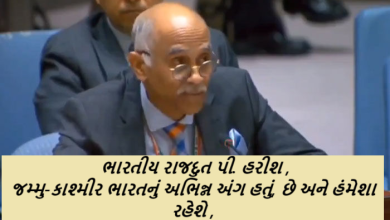 જમ્મુ-કાશ્મીર ભારતનું અભિન્ન અંગ હતું, છે અને હંમેશા રહેશે : ભારતીય રાજદુત પી. હરીશ