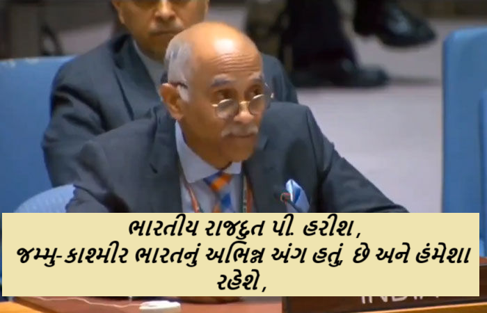 જમ્મુ-કાશ્મીર ભારતનું અભિન્ન અંગ હતું, છે અને હંમેશા રહેશે : ભારતીય રાજદુત પી. હરીશ