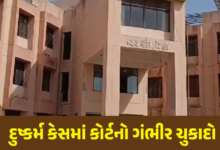 આણંદ દુષ્કર્મ કેસમાં પેટલાદ કોર્ટનો ચુકાદો સામે આવ્યો છે. આરોપી જીજ્ઞેશ પરમાર અને વિપુલ રાઠોડને સજાનું કોર્ટે એલાન કર્યું ,