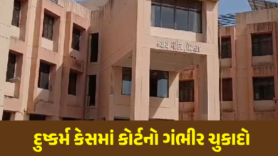 આણંદ દુષ્કર્મ કેસમાં પેટલાદ કોર્ટનો ચુકાદો સામે આવ્યો છે. આરોપી જીજ્ઞેશ પરમાર અને વિપુલ રાઠોડને સજાનું કોર્ટે એલાન કર્યું ,