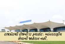 રાજકોટથી રોજની 12 ફલાઈટ ; ડેઈલી મુંબઈની પાંચ, દિલ્હીની બે ફલાઈટ: પુના-ગોવા સપ્તાહમાં ચાર દિવસ: સવારે દિલ્હી જવા એક પણ ફલાઈટ નહીં