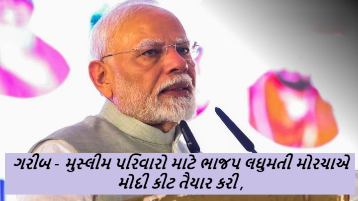 ગરીબ - મુસ્લીમ પરિવારો માટે ભાજપ લઘુમતી મોરચાએ મોદી કીટ તૈયાર કરી : ઘર ઘર સુધી પહોંચાડવાની તૈયારી