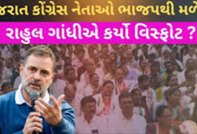 રાહુલ ગાંધીનો વિસ્ફોટ ; ભાજપ માટે કામ કરતાં 20 - 30 નેતાઓને કાઢતા અચકાશું નહિં ,