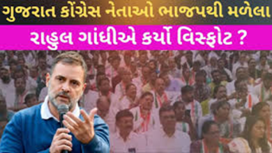 રાહુલ ગાંધીનો વિસ્ફોટ ; ભાજપ માટે કામ કરતાં 20 - 30 નેતાઓને કાઢતા અચકાશું નહિં ,