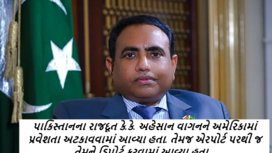 પાકિસ્તાનના રાજદૂત કે.કે. અહેસાન વાગનને અમેરિકામાં પ્રવેશતા અટકાવવામાં આવ્યા હતા. તેમજ એરપોર્ટ પરથી જ તેમને ડિપોર્ટ કરવામાં આવ્યા હતા.