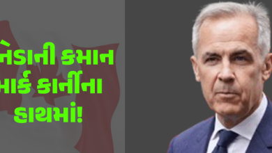 અમેરિકાએ છેડેલા ટેરીફ વોરથી સૌથી પ્રભાવીત પાડોશી કેનેડામાં વર્તમાન વડાપ્રધાન જસ્ટીન ટ્રુડોના અનુગામી તરીકે કેનેડાની રીઝર્વ બેન્કના પુર્વ ગવર્નર માર્ક કાનીની પસંદગી કરવામાં આવી છે.